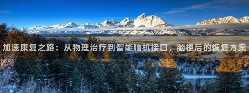 k1体育官网下载平台假的吗是真的吗吗:加速康复之路:从物理治